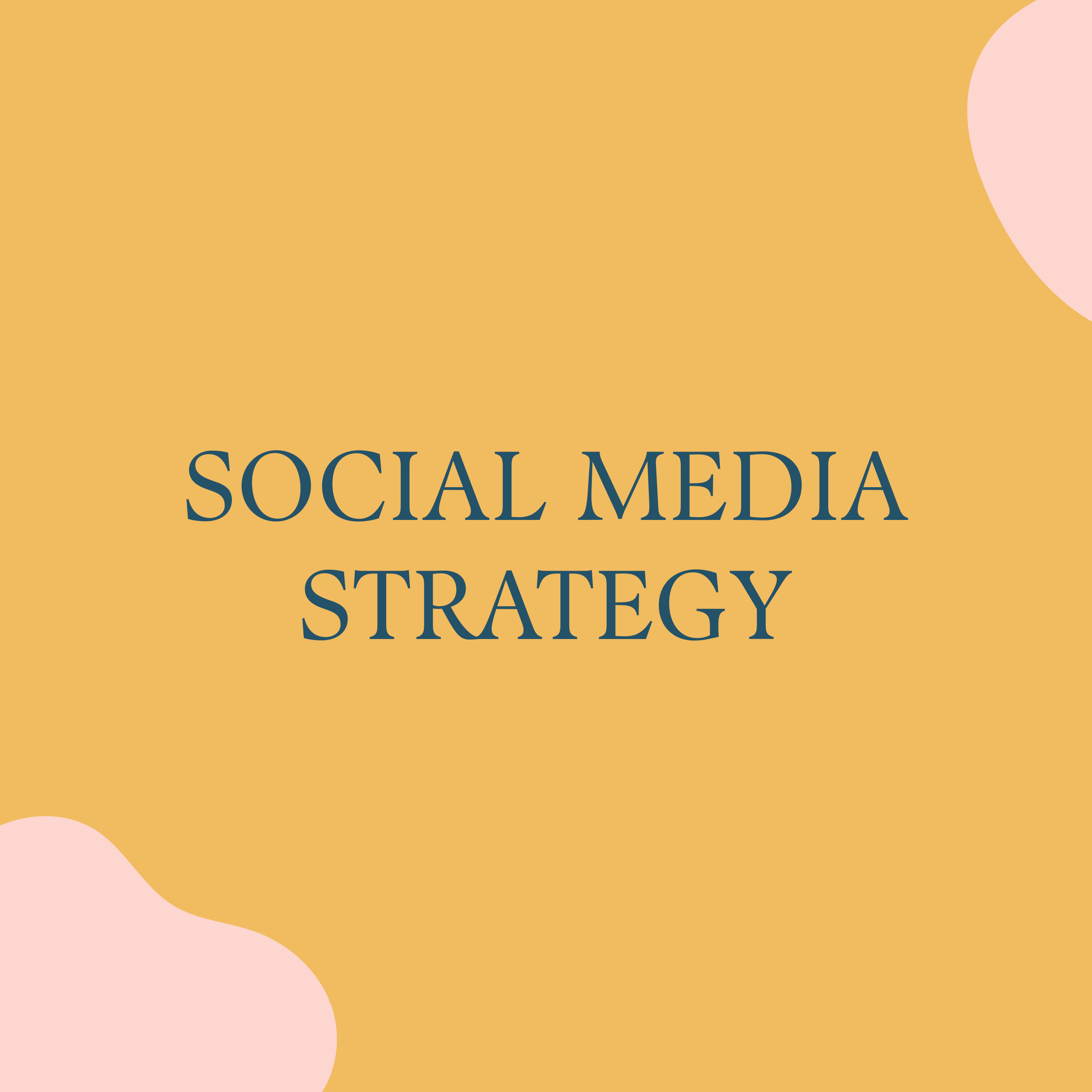 SOCIAL MEDIA STRATEGY