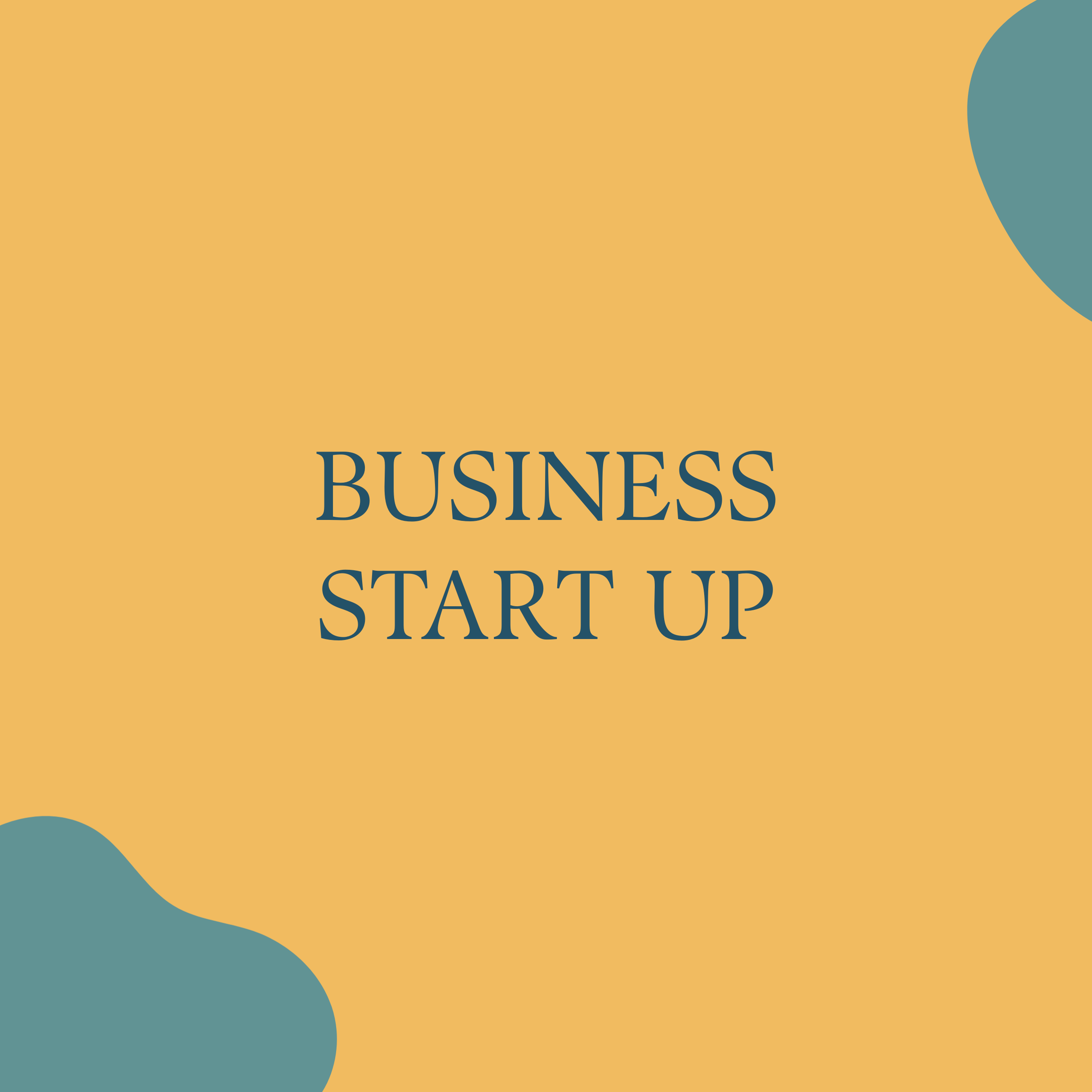 BUSINESS START UP