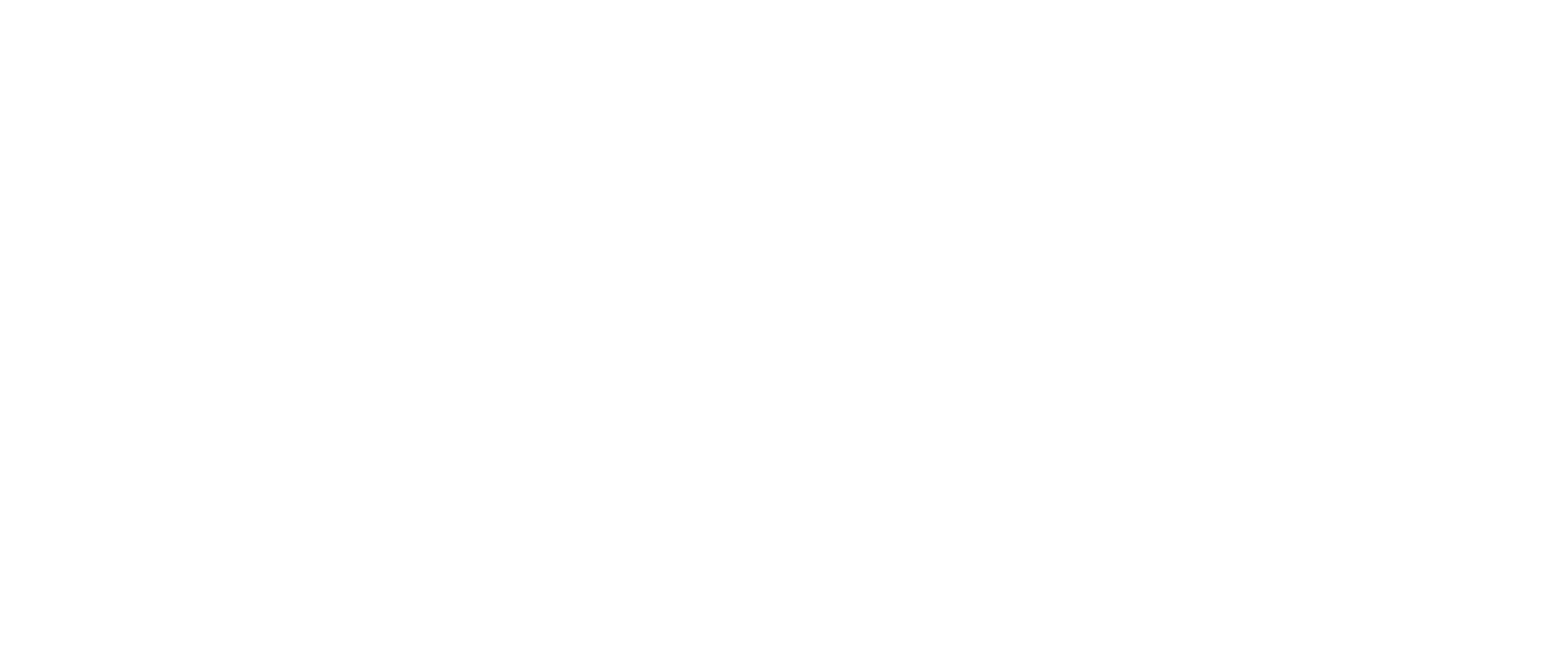 CDM AGENCY